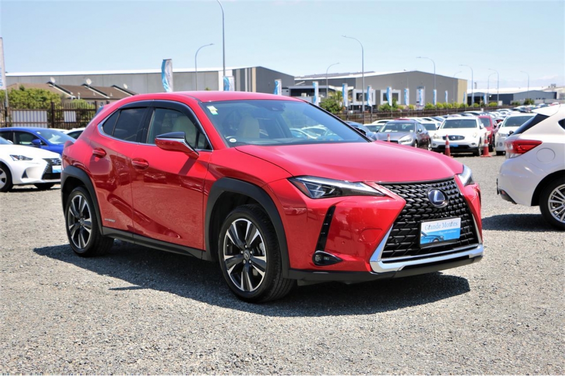 Ilikethat - Lexus, UX 250H Leather.Lane assist.Radar..., 2020  - Auckland City, Auckland 