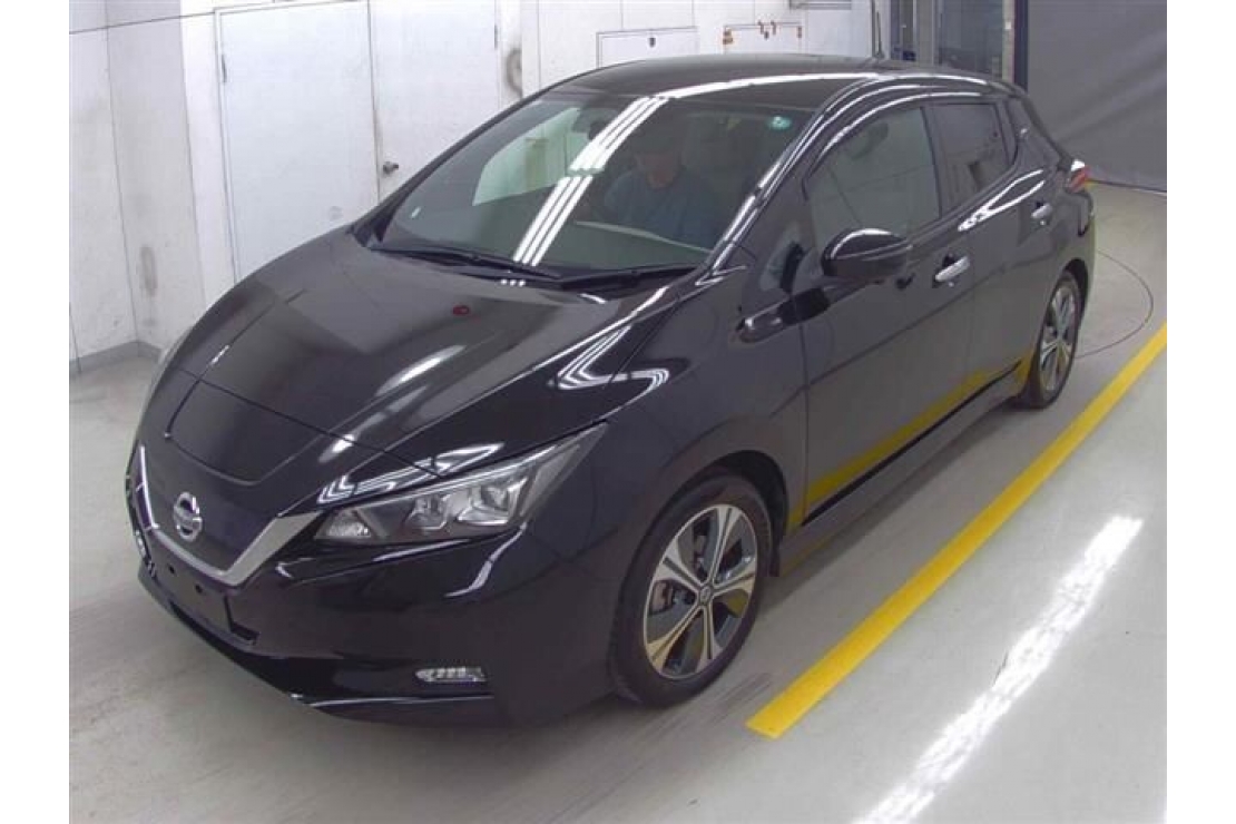 Ilikethat - Nissan, Leaf Pro Pilot 6 Airbags, 2019  - Auckland City, Auckland 
