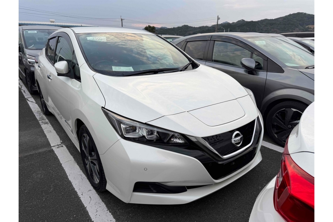 Ilikethat - Nissan, Leaf Arriving May SOH 84,86%, 2019 - Auckland City, Auckland 