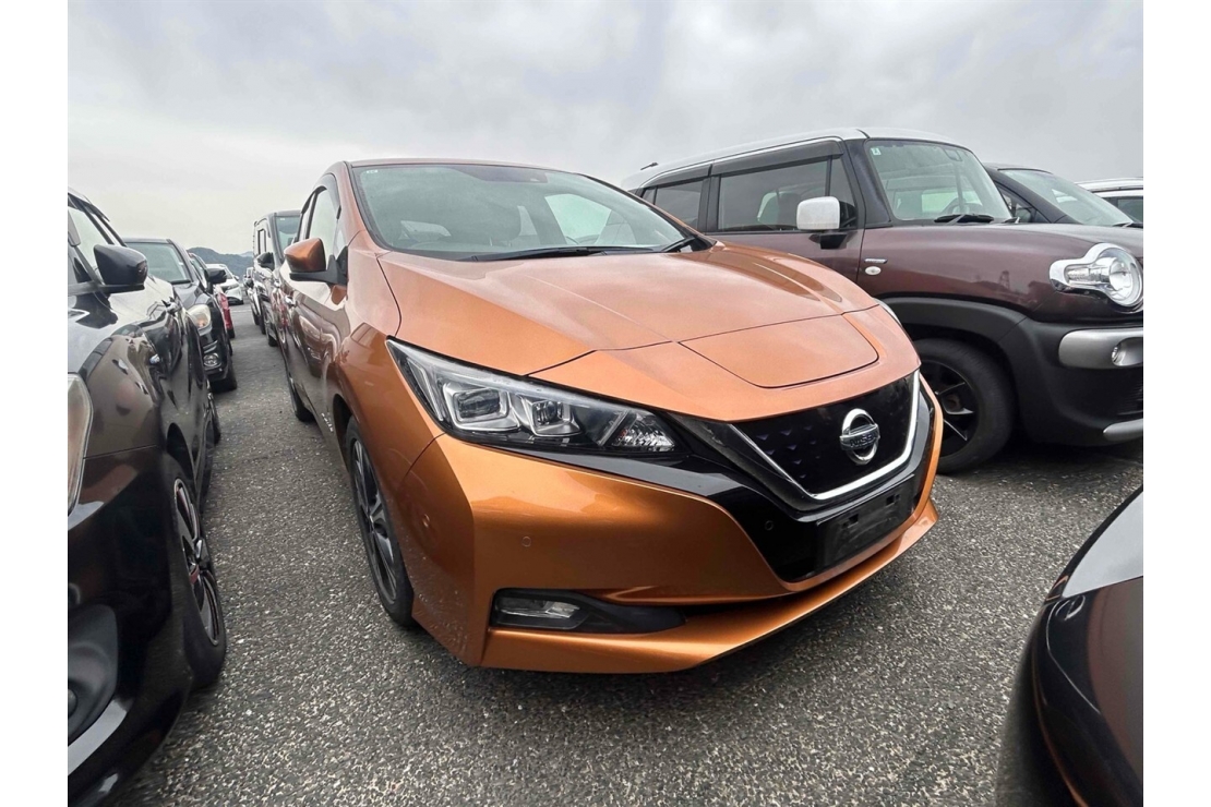 Ilikethat - Nissan, Leaf Arriving May Pro pilot, 2017 - Auckland City, Auckland 