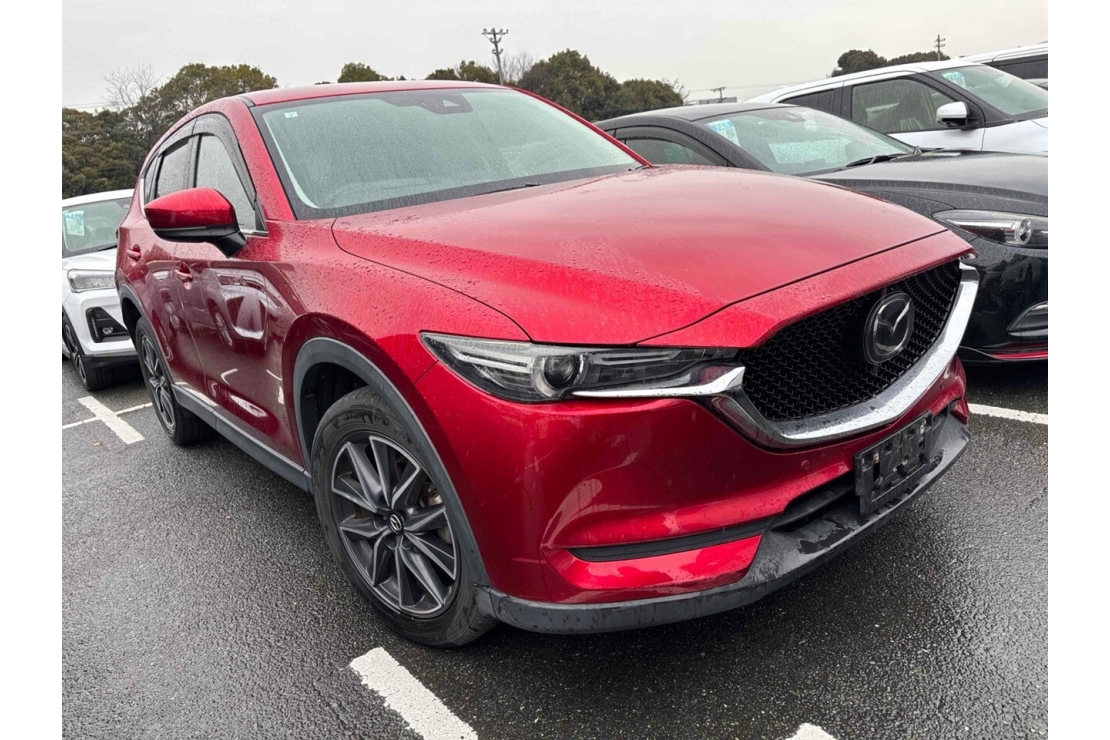 Ilikethat - Mazda, CX-5 20S Pro Active, 2017 - Auckland City, Auckland 