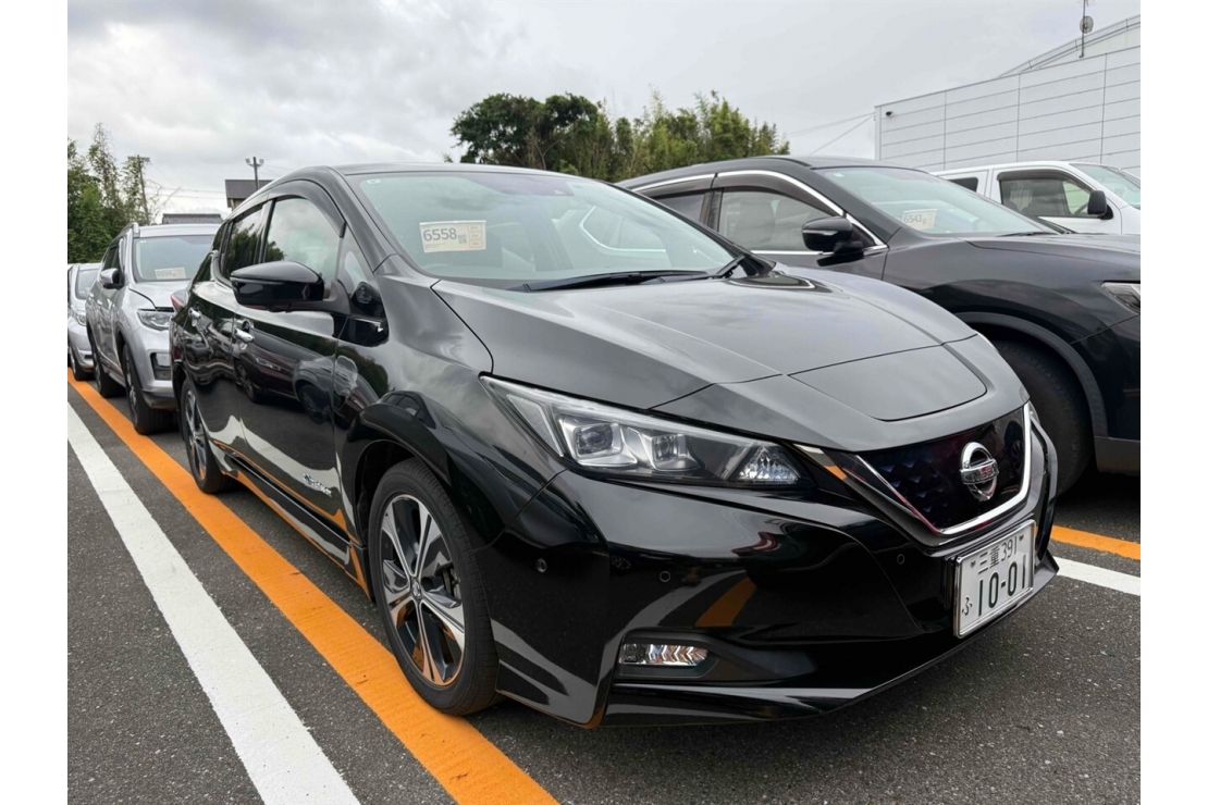 Ilikethat - Nissan, Leaf SOH= 95.77% G model Pro pilot, 2019  - Auckland City, Auckland 