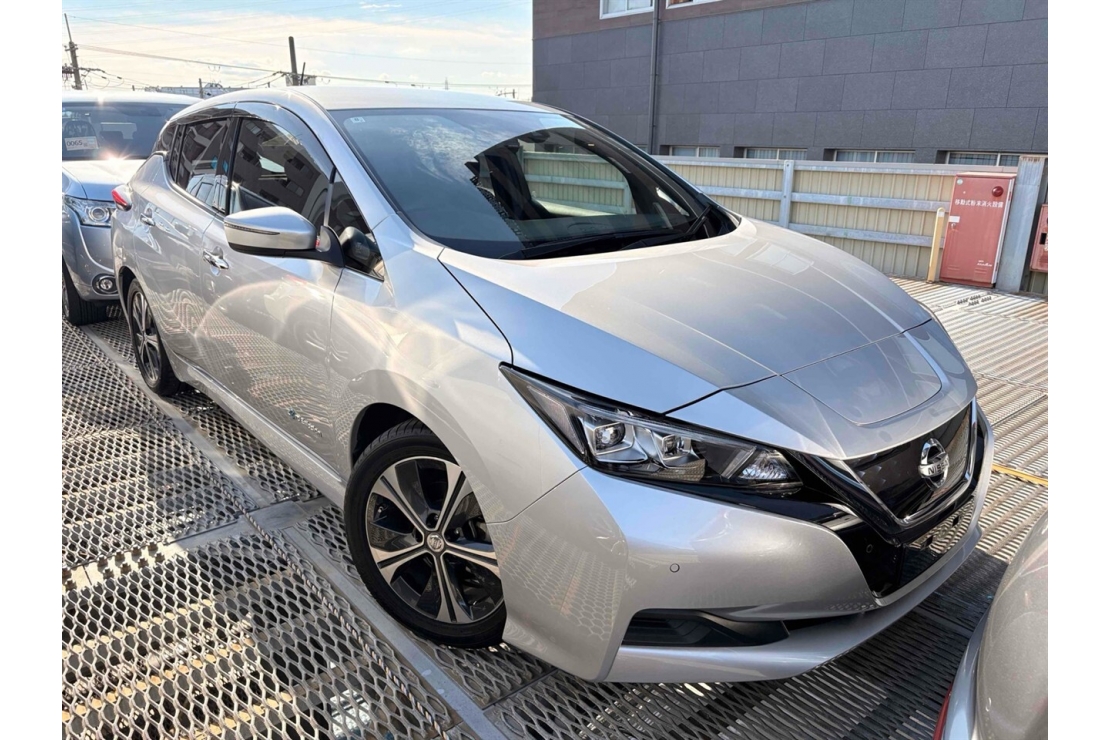 Ilikethat - Nissan, Leaf Transit Soh 91,46 Pro-pilot, 2018  - Auckland City, Auckland 